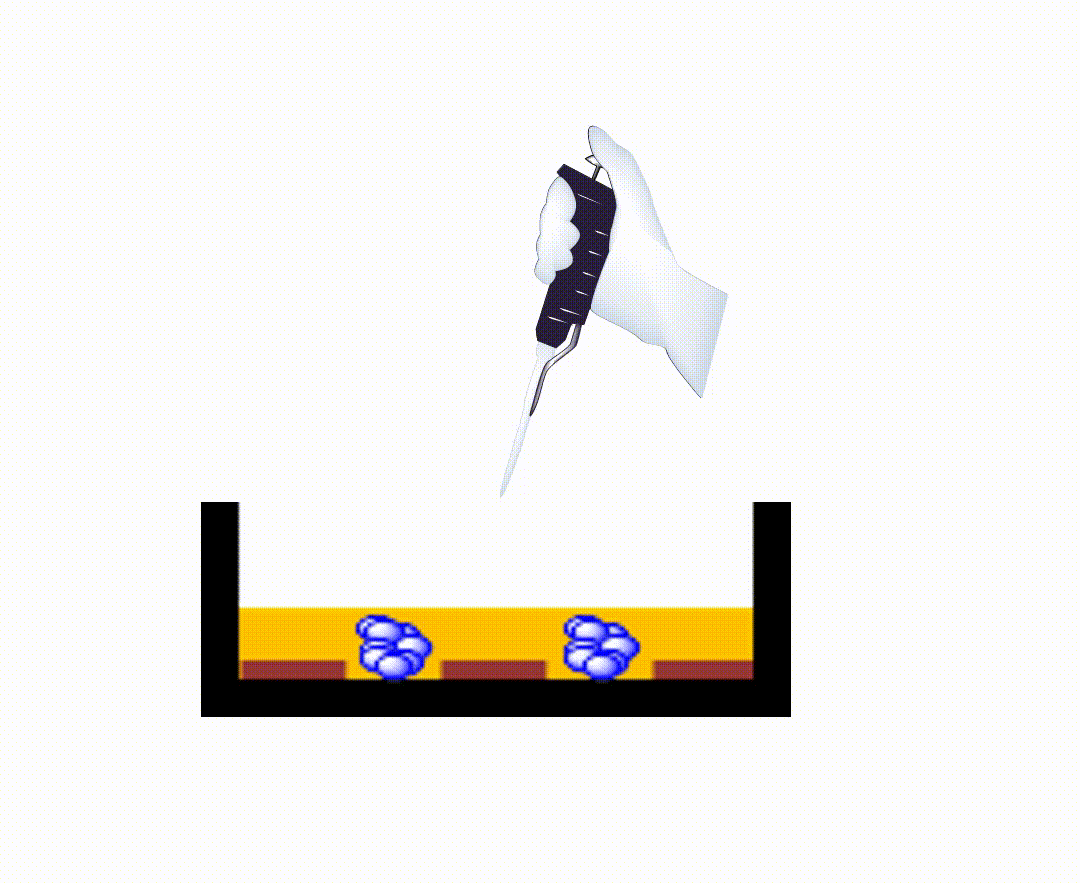 3D cell culture system Cellable®｜TOYO GOSEI